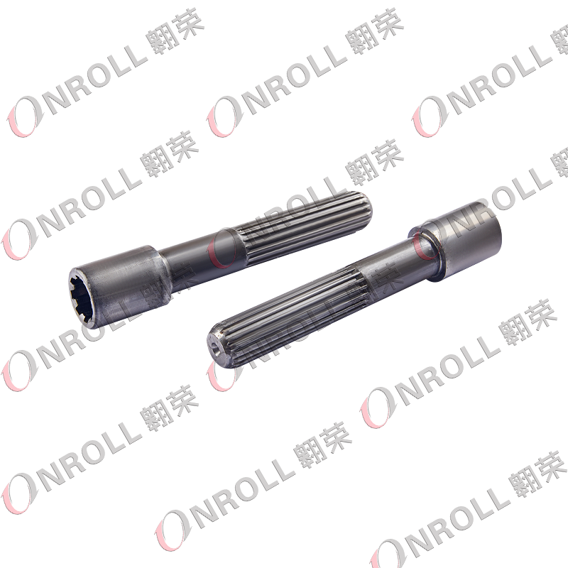 Vortex Shaft & gubernaculo inferioris Shaft